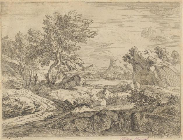 Landschap met rotsen