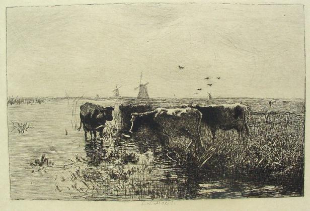 Koeien aan de waterkant (vermoed. Naar W.Maris)